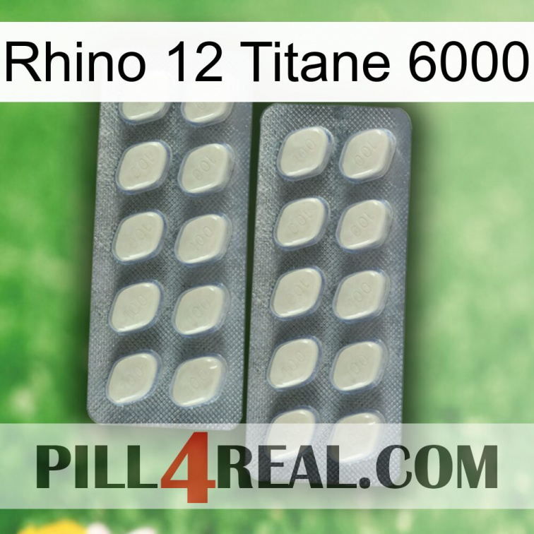 Rhino 12 Titanium 6000 07